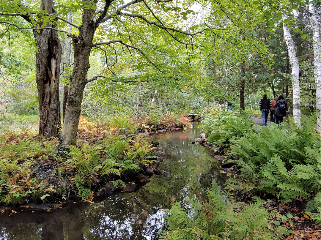 Wild Gardens of Acadia景点图片