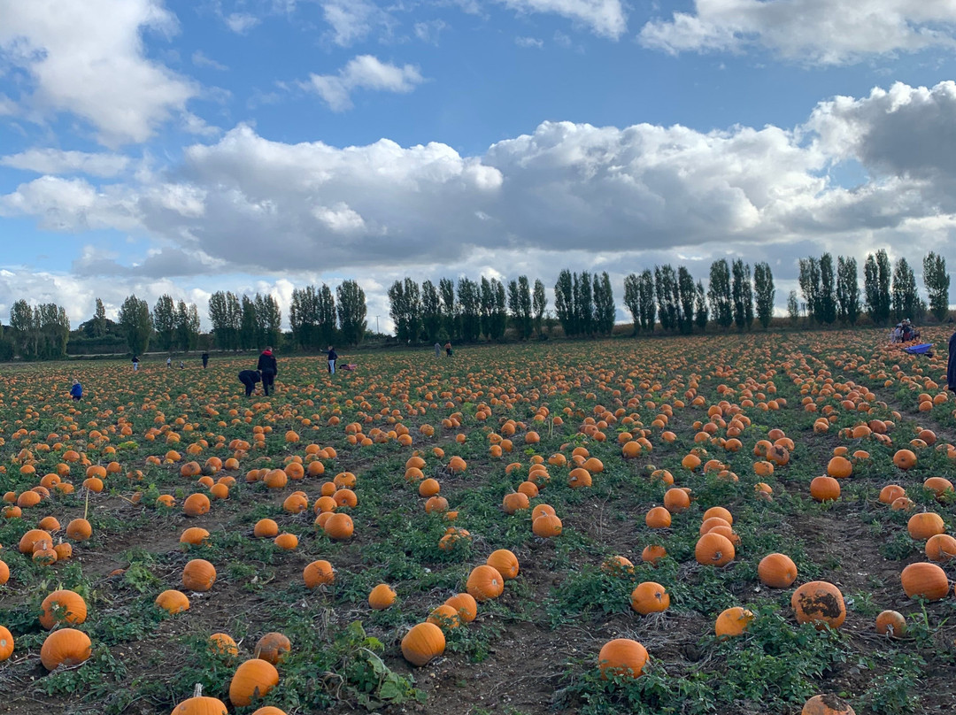Stanhill Farm Kent-Wilmington必去景点