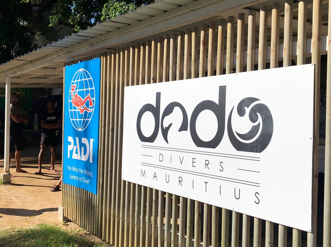 Dodo Divers景点图片