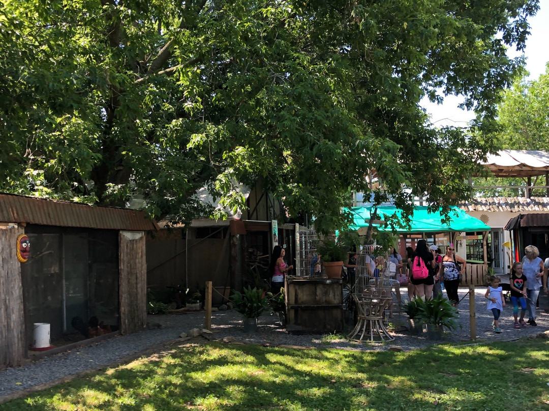 Saint-Placide旅游景点-Perroquet en Folie