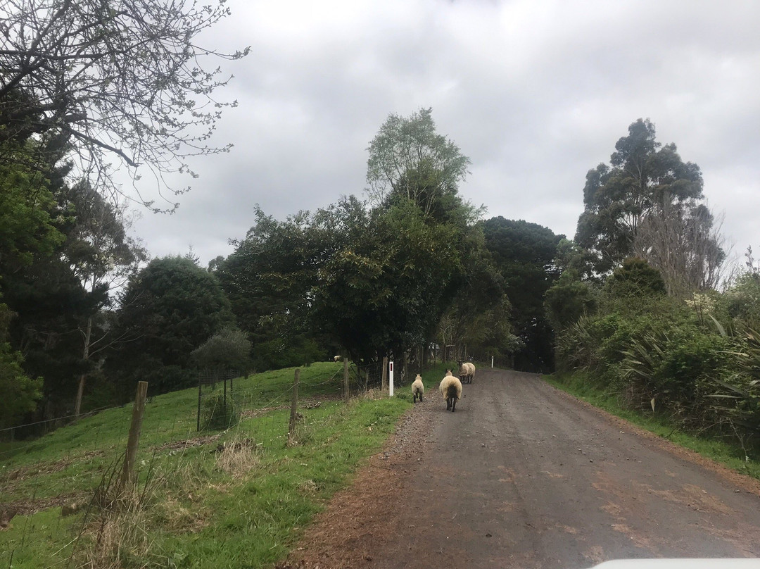 莱特基波汽车旅馆主图