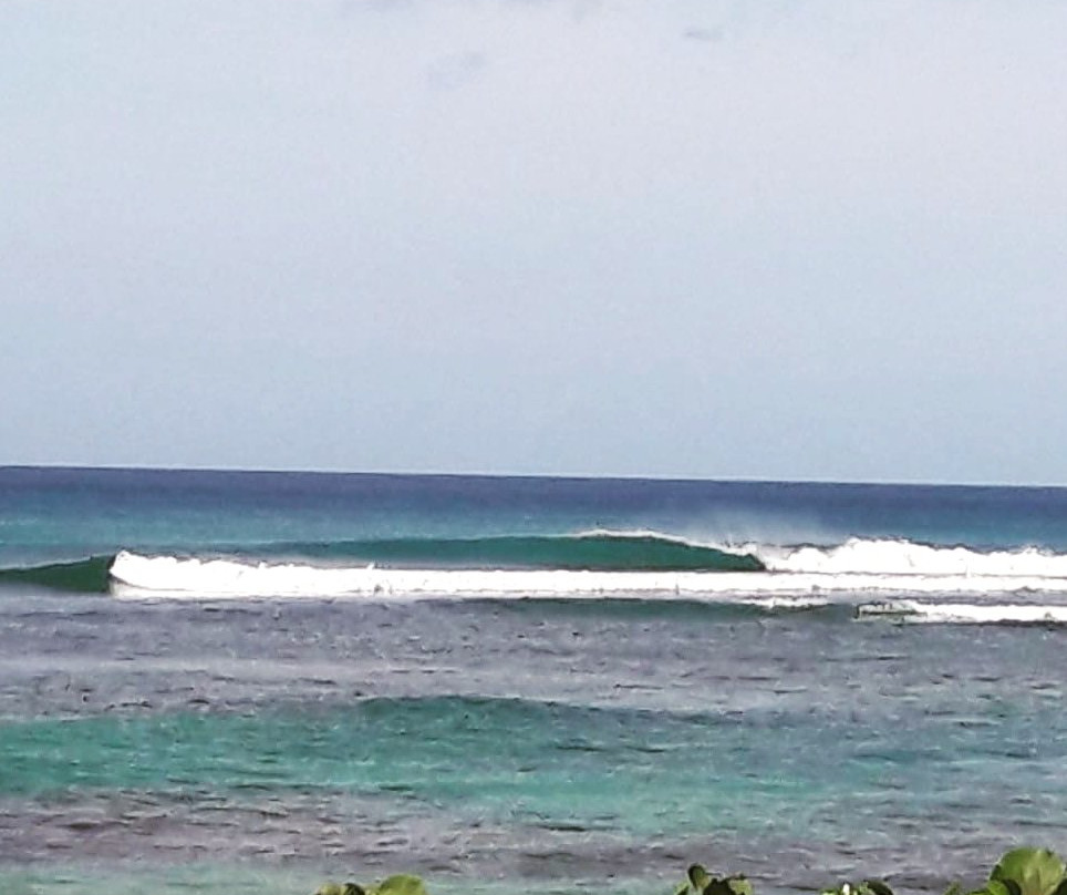 Spectrum Surf School-圣胡安必去景点