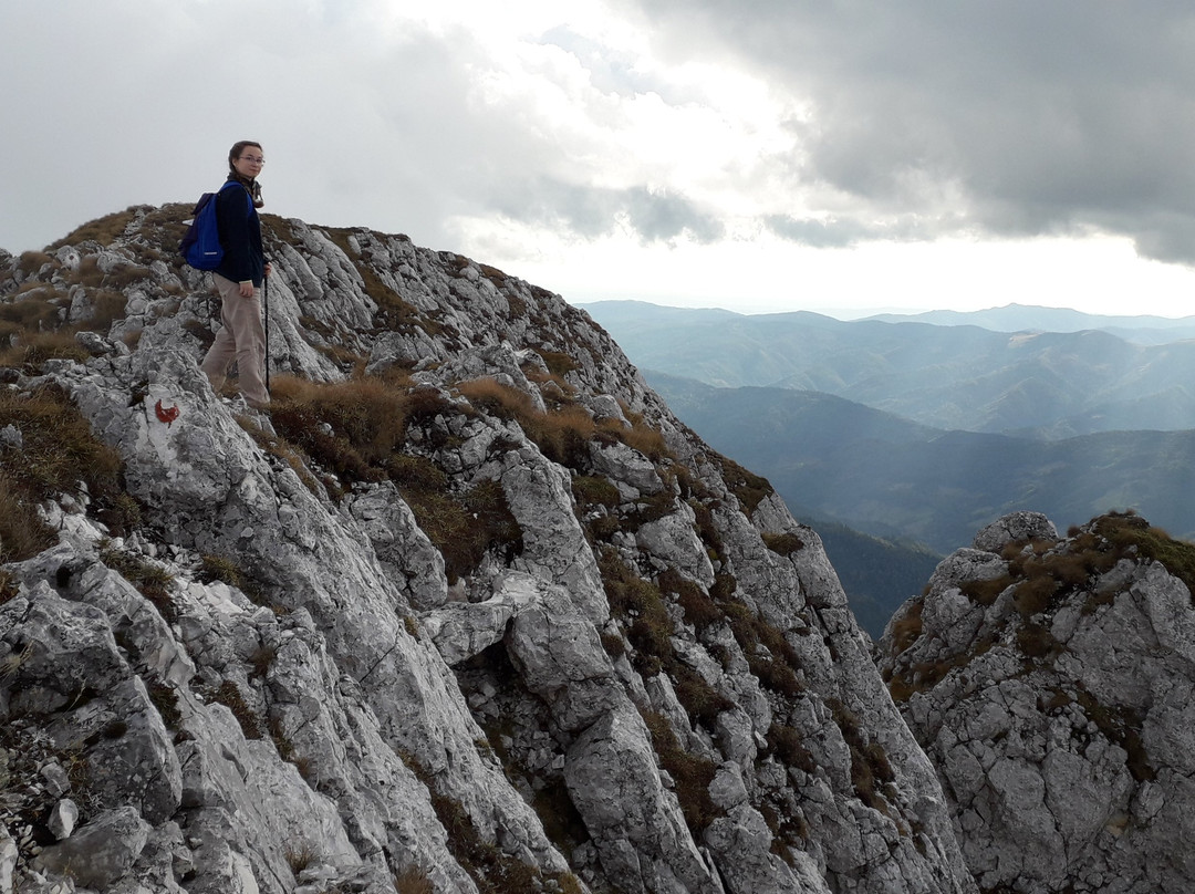 Piatra Craiului National Park景点图片