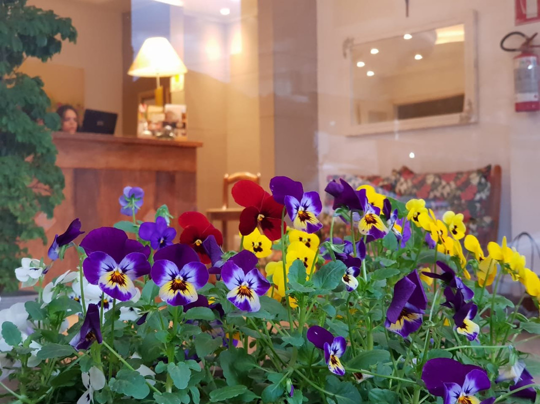 Plaza Center Hotel主图