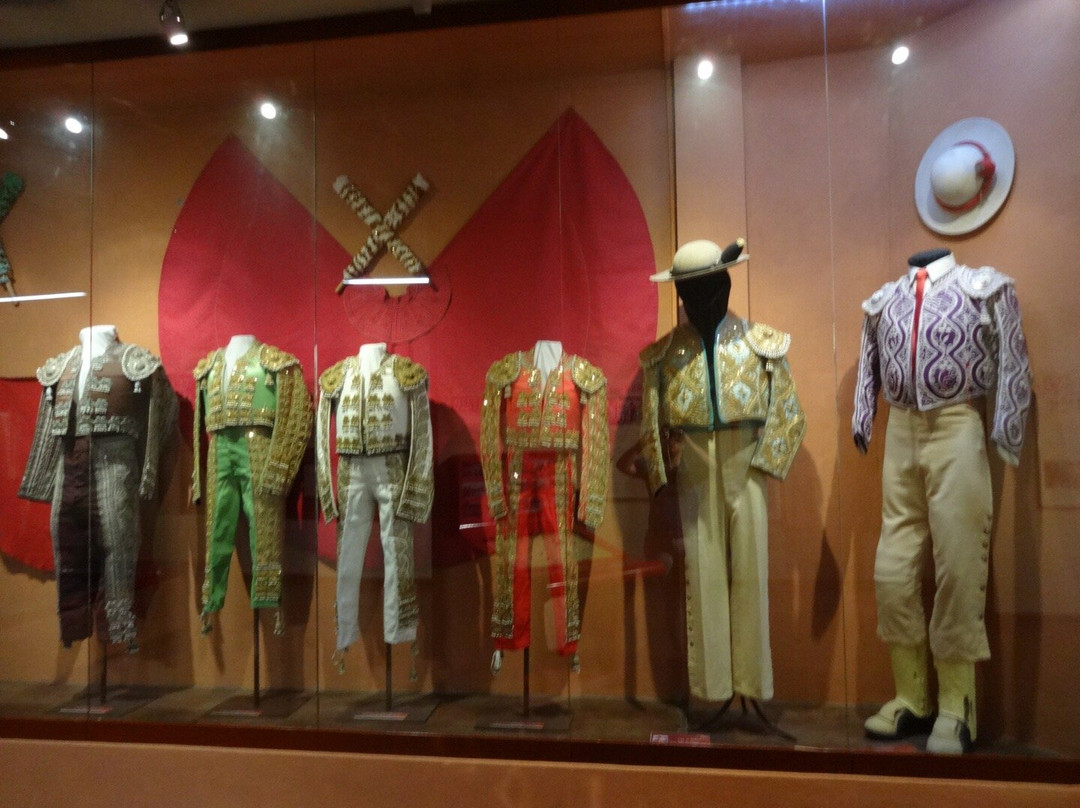 萨尔蒂旅游景点-Museo de la Cultura Taurina