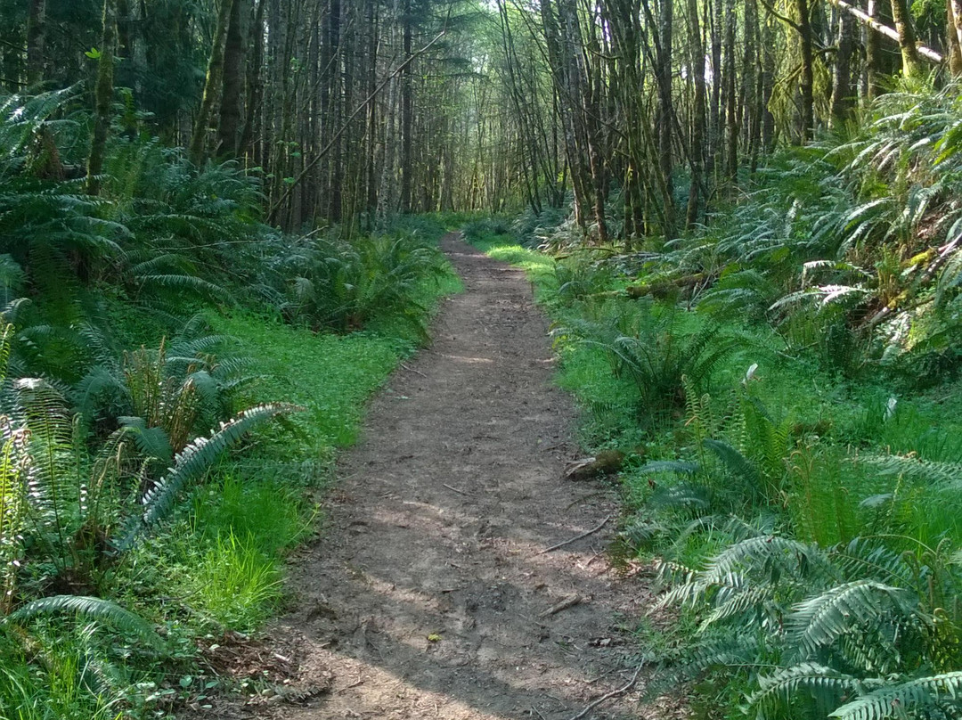 Vernonia旅游景点-Stub Stewart State Park