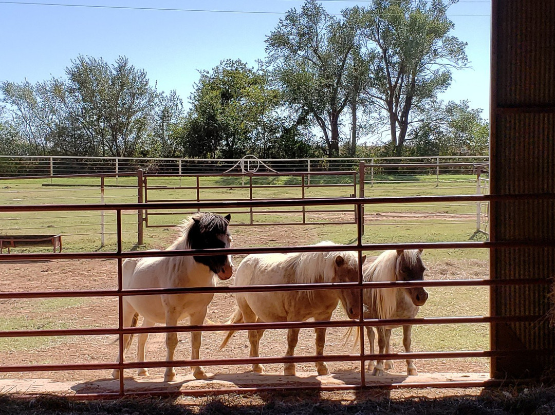 Daze in a Maze-Enid必去景点