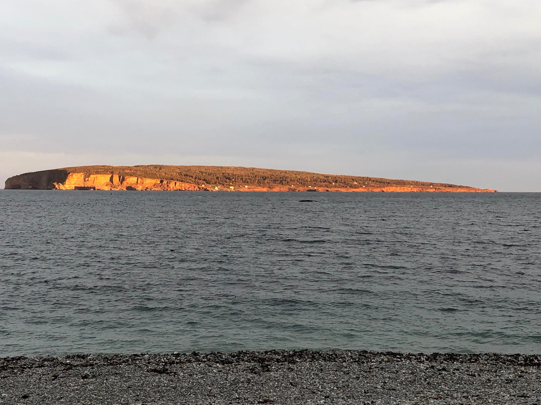 Hotel La Normandie主图