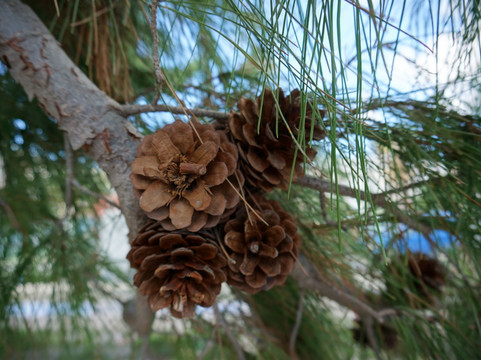 Piazza Mazzini-利帕里必去景点