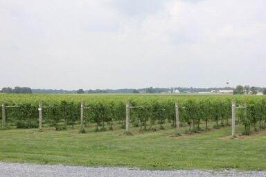 Crow Farm and Vineyard and Winery