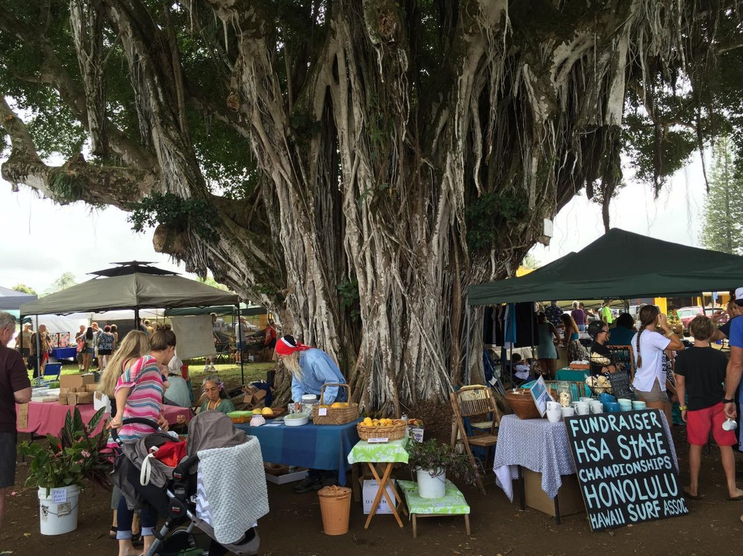Hawi Farmers Market景点图片