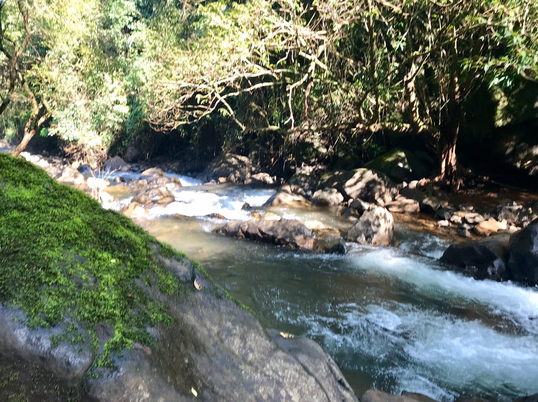 Sada Falls景点图片
