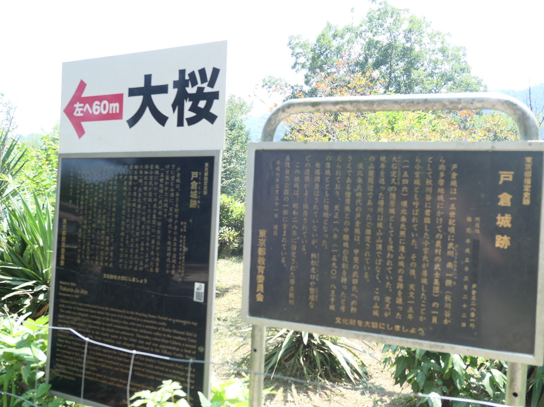 Kogonji Temple-秋留野市必去景点
