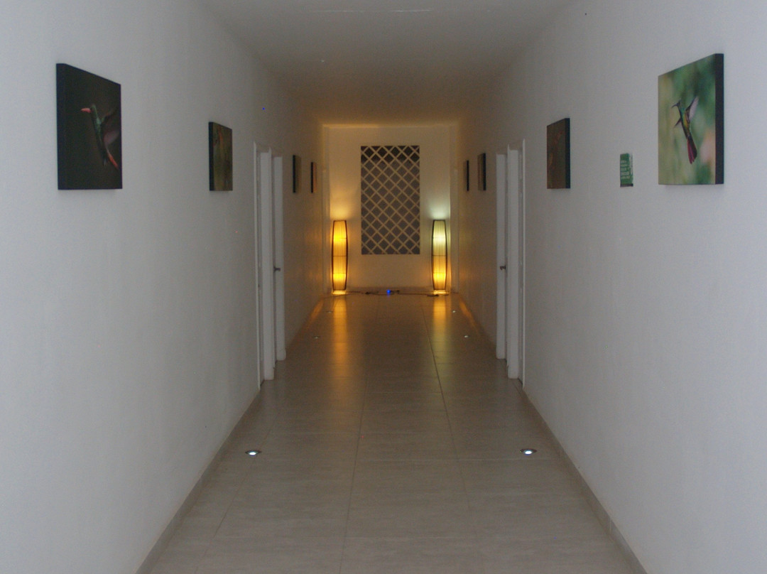 Casa Colibri Palomino主图