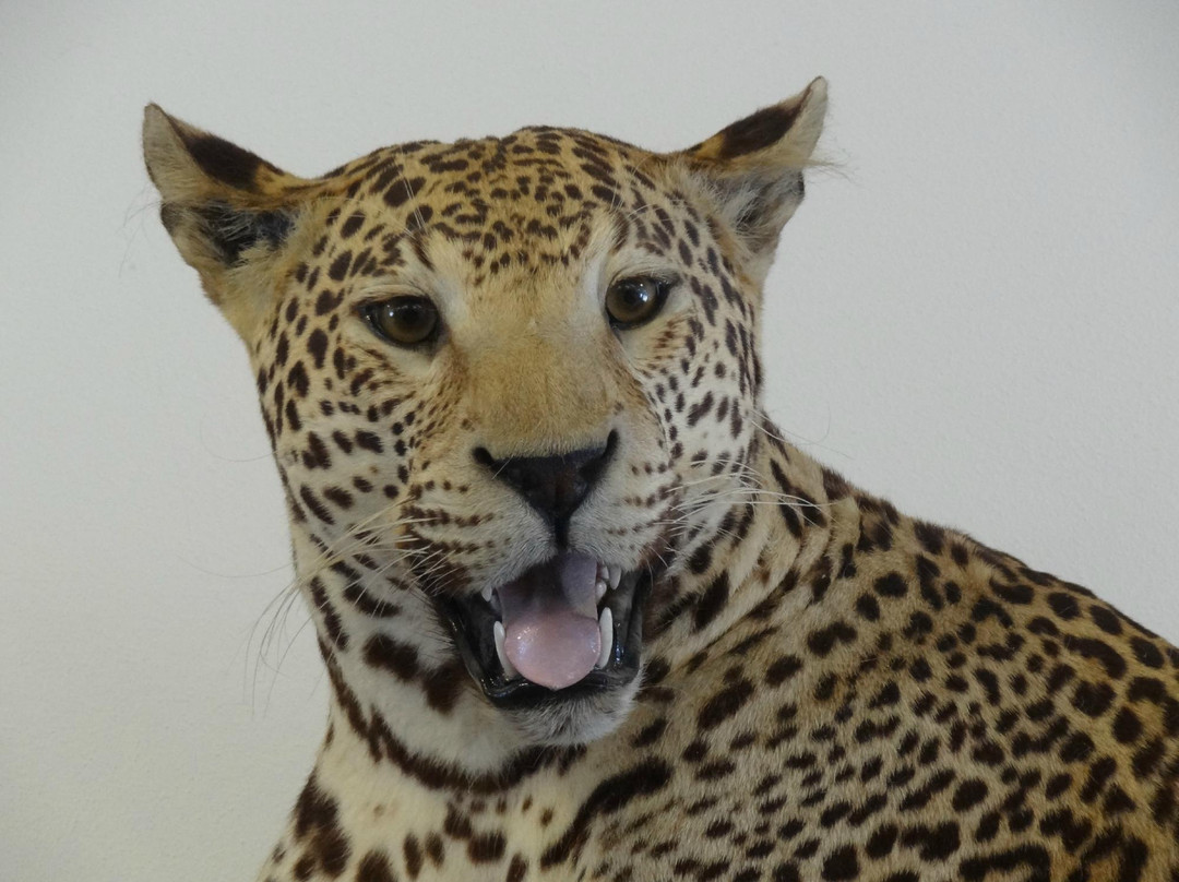 Brillion旅游景点-1000 Islands Environmental Center