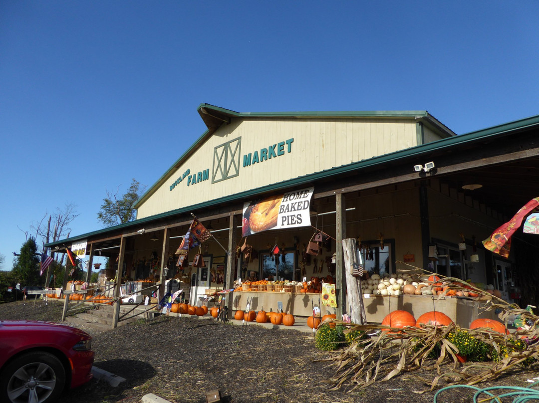 Broad Run旅游景点-Buckland Farm Market
