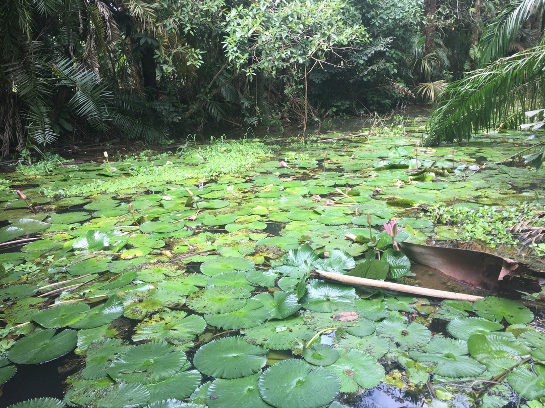 Cumaral旅游攻略图片