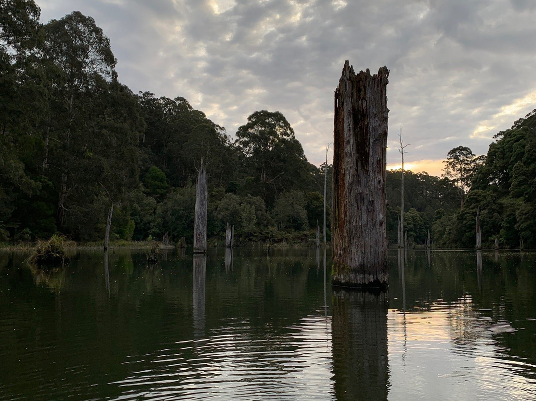 Lake Elizabeth-Forrest必去景点