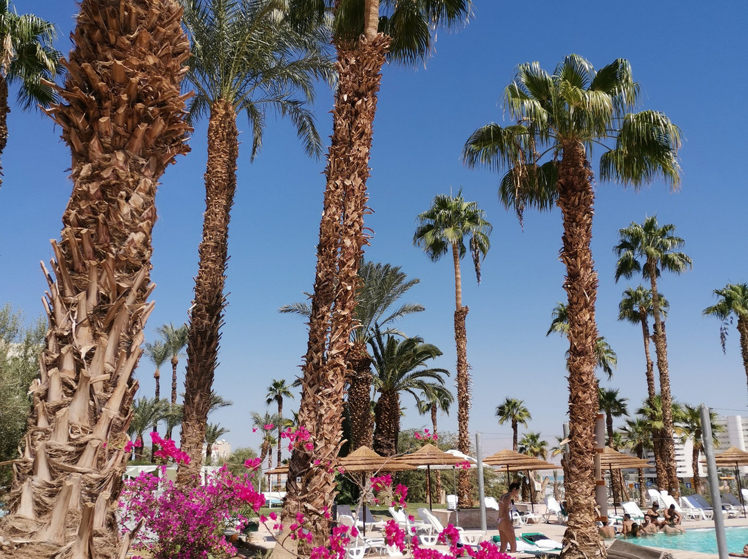 死海莱昂纳多酒店主图