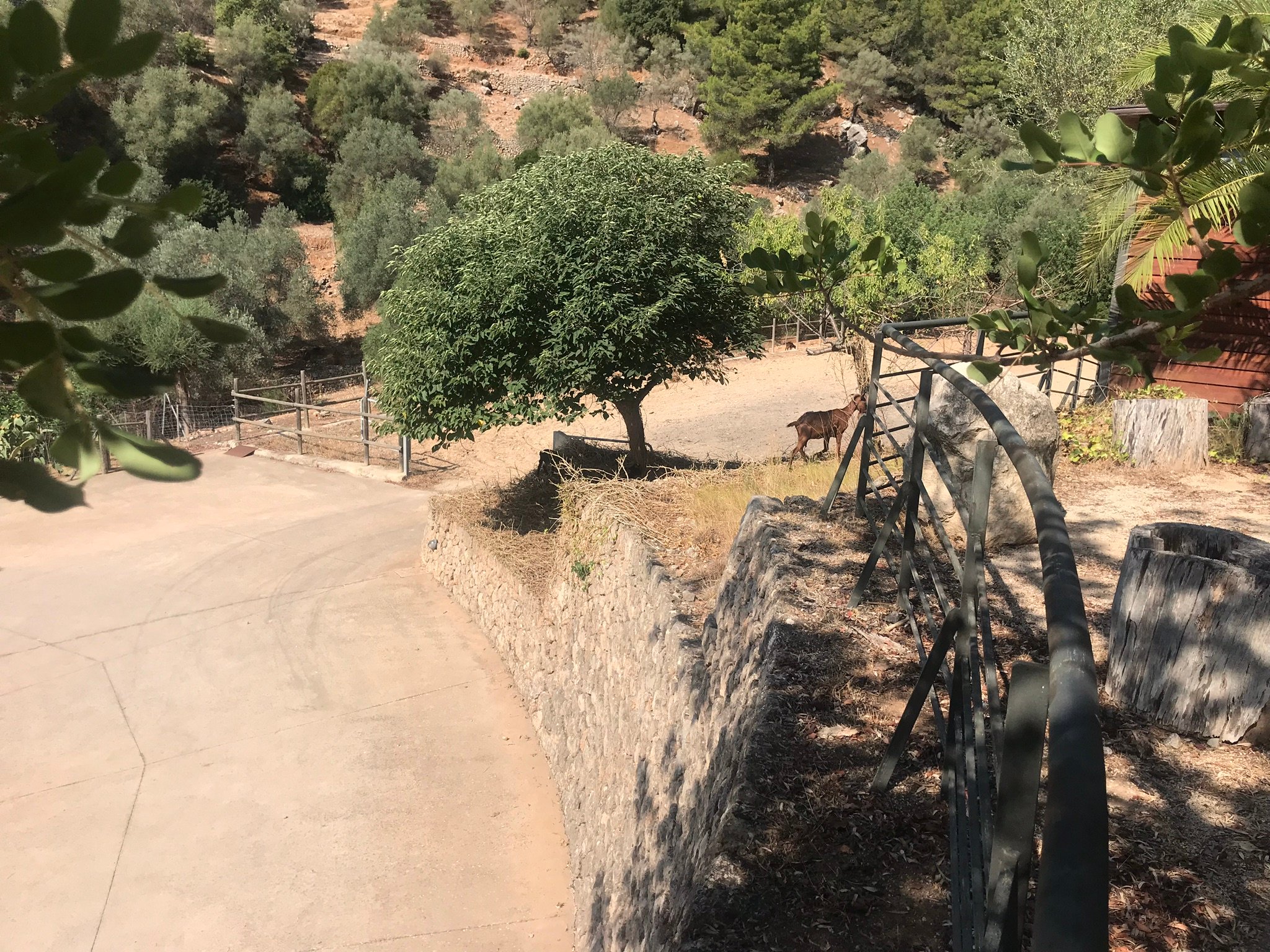 Agroturismo Alfabia Nou-官方
