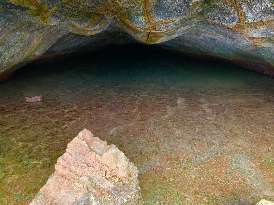 El Túnel del Estero-维里亚米尔港必去景点
