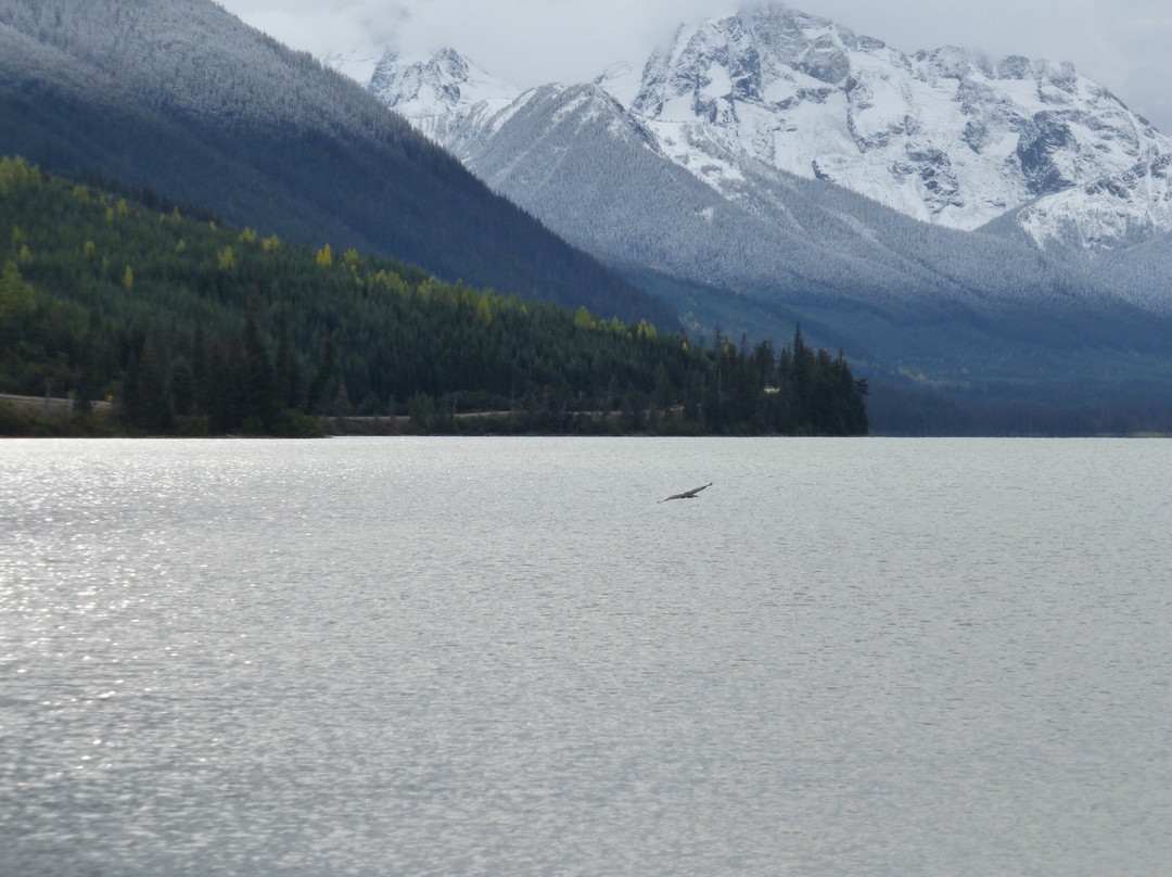 Duffey Lake Provincial Park景点图片