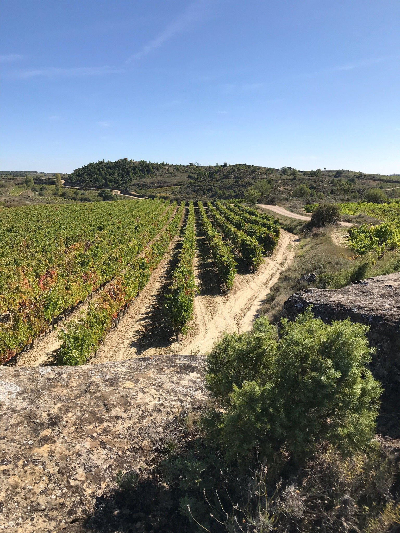 Casa Rural La Molinera Etxea-官方