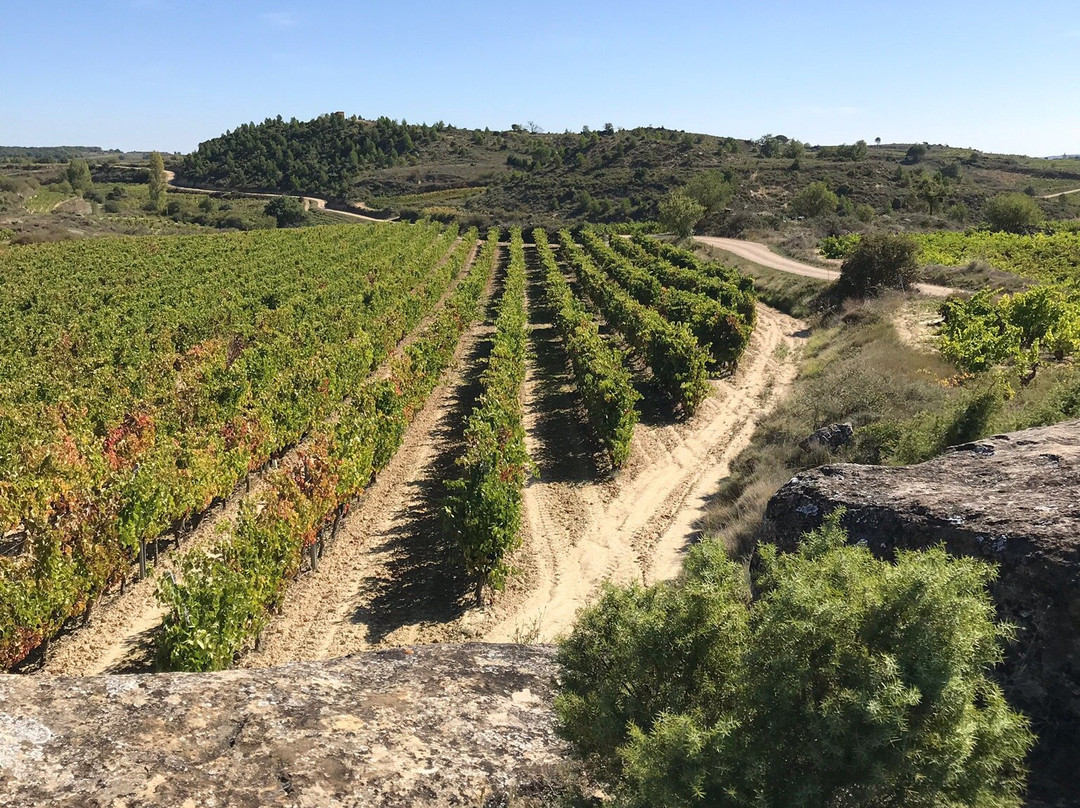 Casa Rural La Molinera Etxea主图