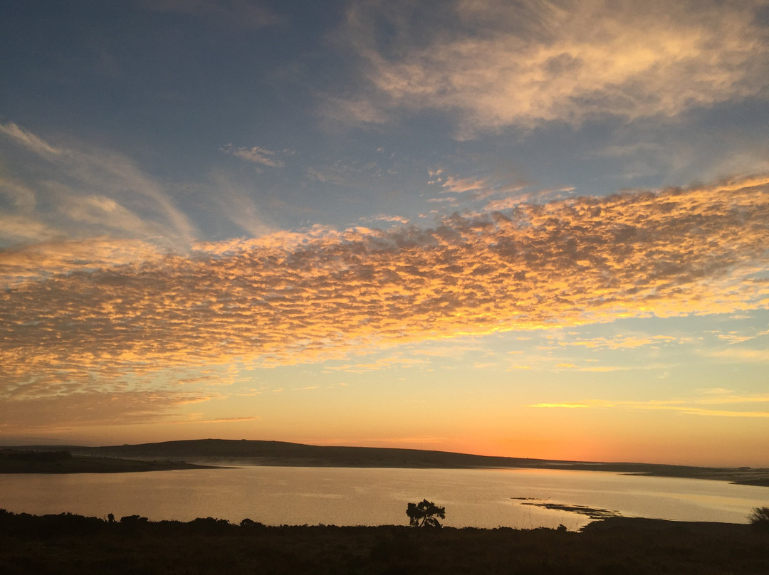 Higher Searles Down主图