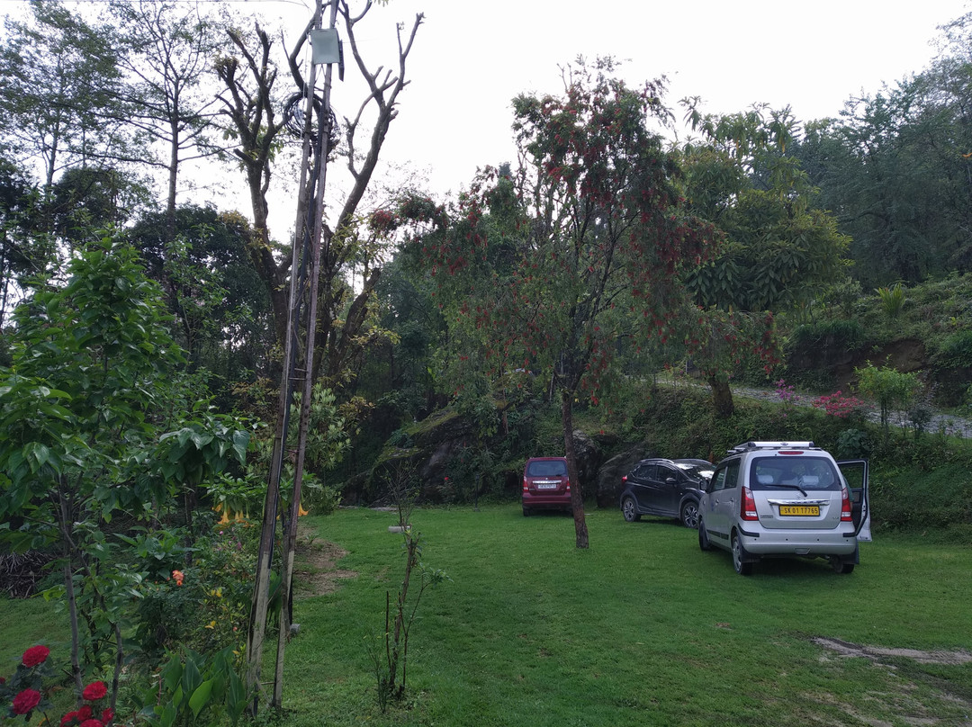 Green Leaf Resort主图