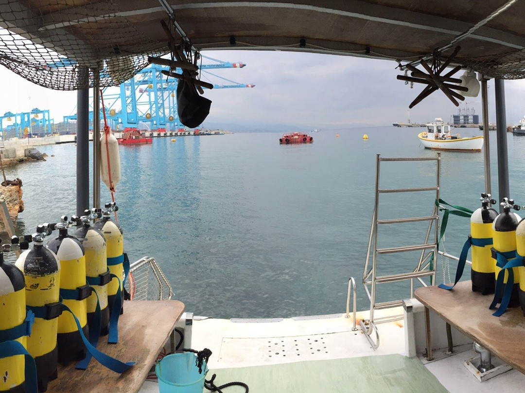 Le Cavallette Diving-萨沃纳必去景点