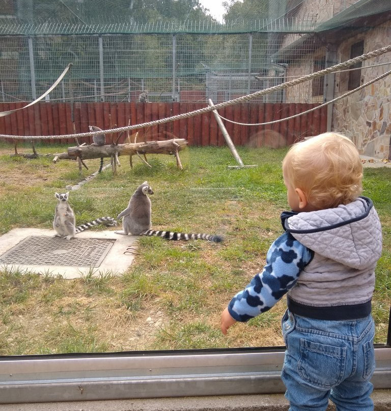 Sibiu Zoological Garden景点图片