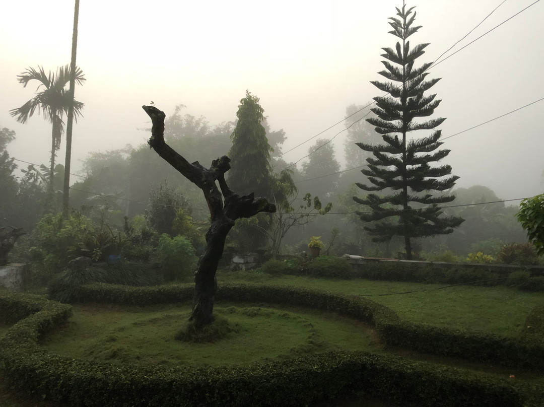 Root Art Gallery-Kamalamai必去景点