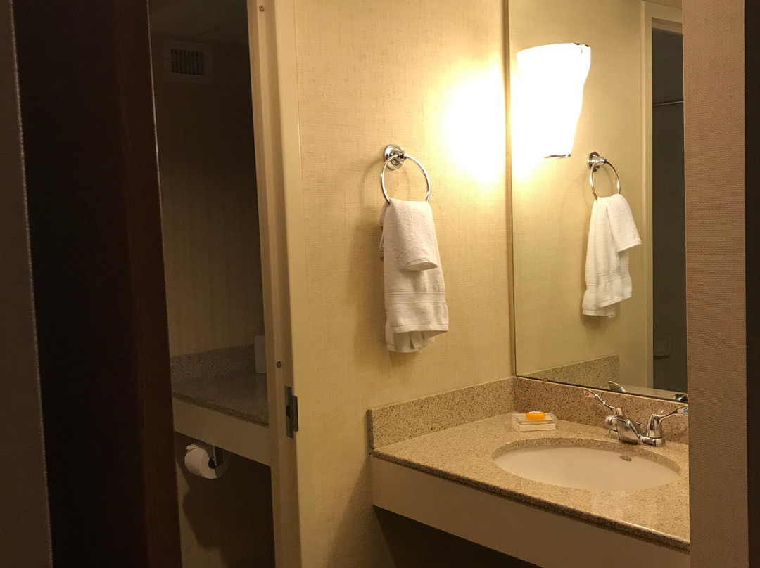 弗吉尼亚科技与斯凯尔顿会议中心旅馆主图