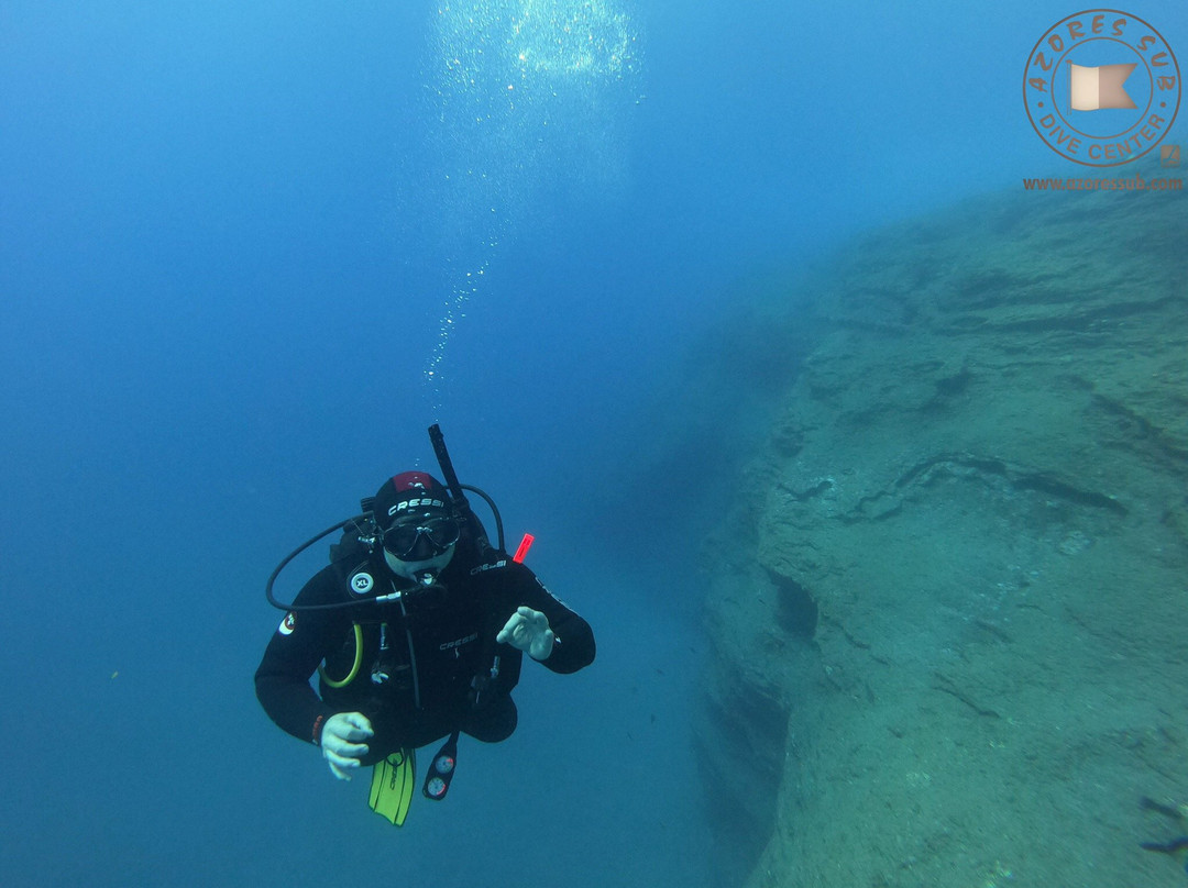 Azores Sub Dive Center-Vila Franca do Campo必去景点