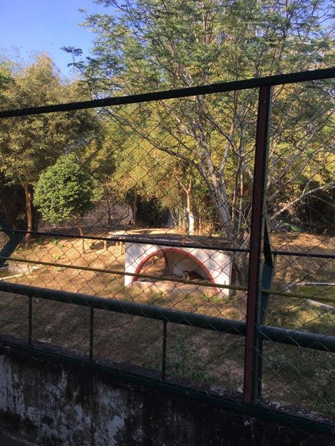 Hlawga Wildlife Park-仰光必去景点