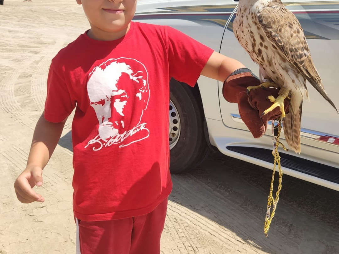 Best Tours in Qatar-多哈必去景点