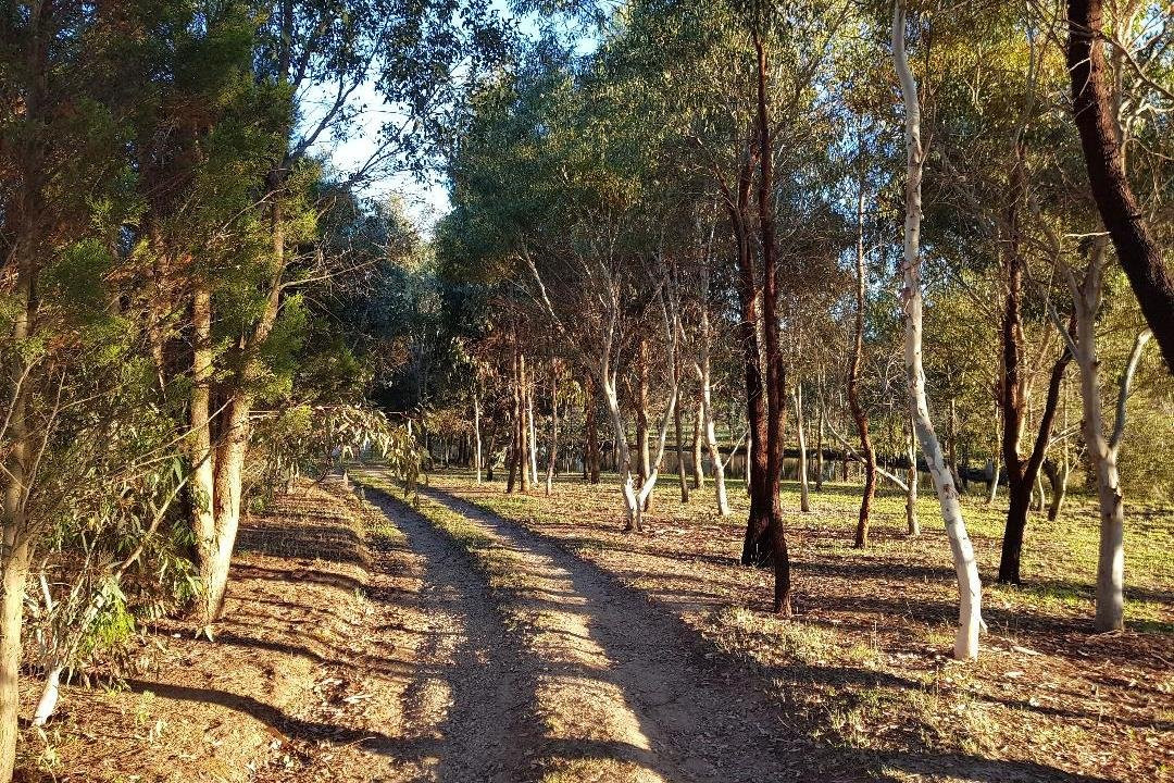 Holistic Soulscape-比奇沃思必去景点