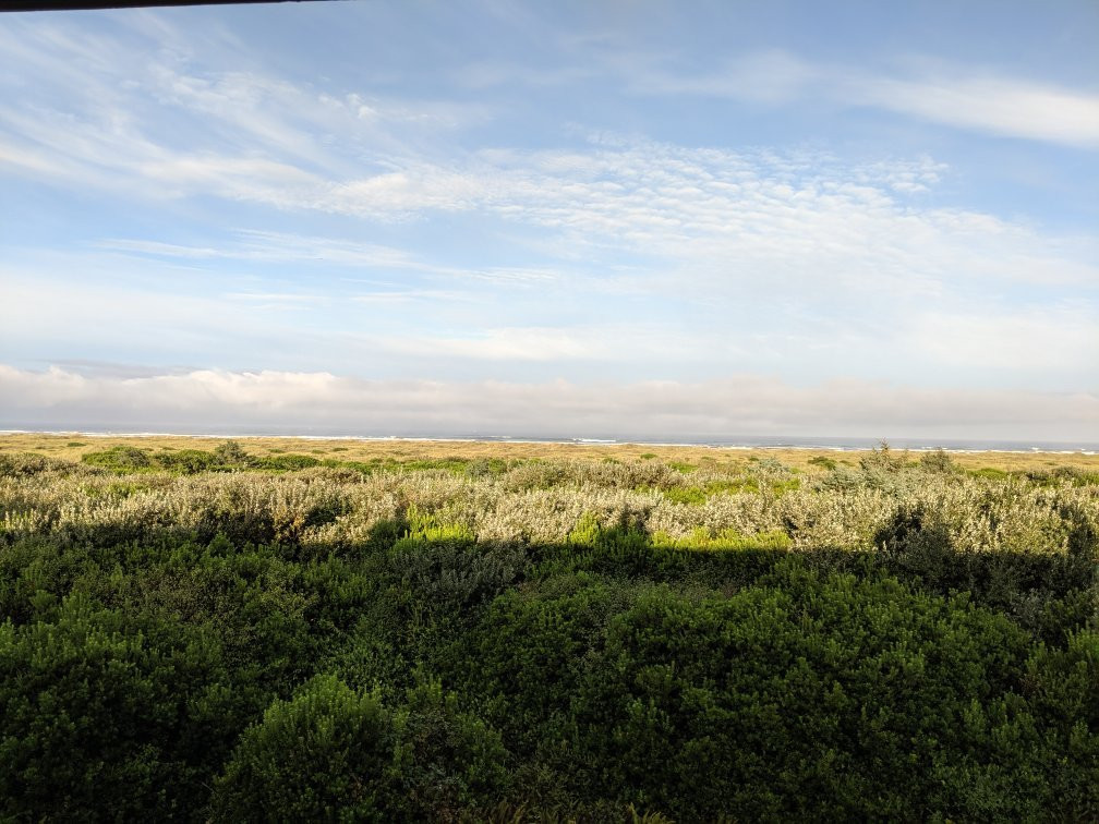 Nautilus Condos主图