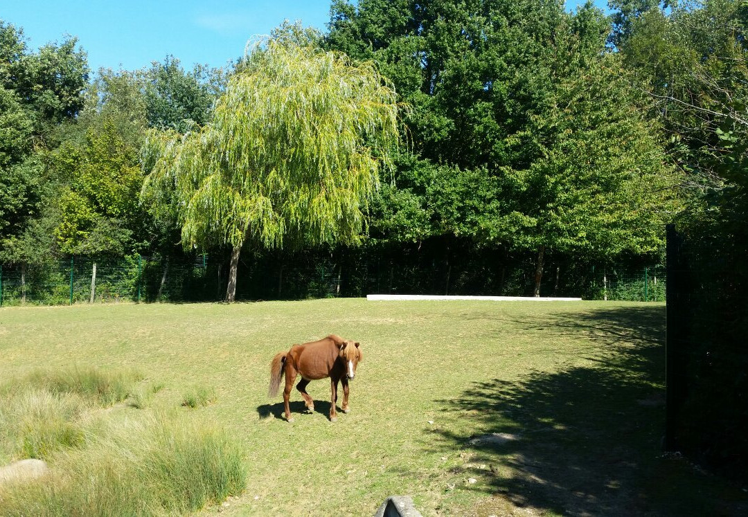 Parc Hihan景点图片