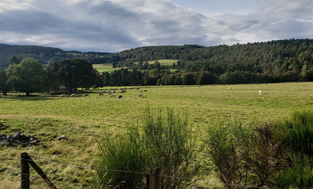 Glen Tanar National Nature Reserve-Aboyne必去景点