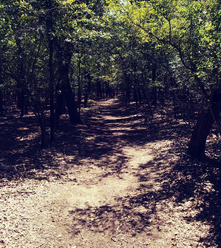 Fort Worth Nature Center & Refuge-沃思堡必去景点