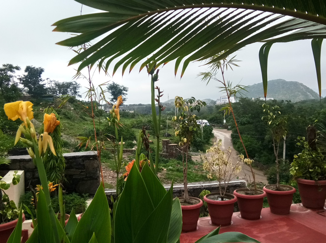 Palace RajKumbha主图