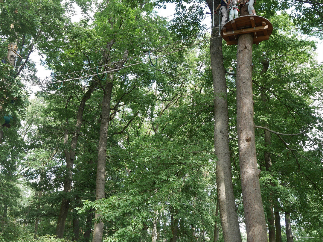 AccroCamp Forêt de Meudon景点图片