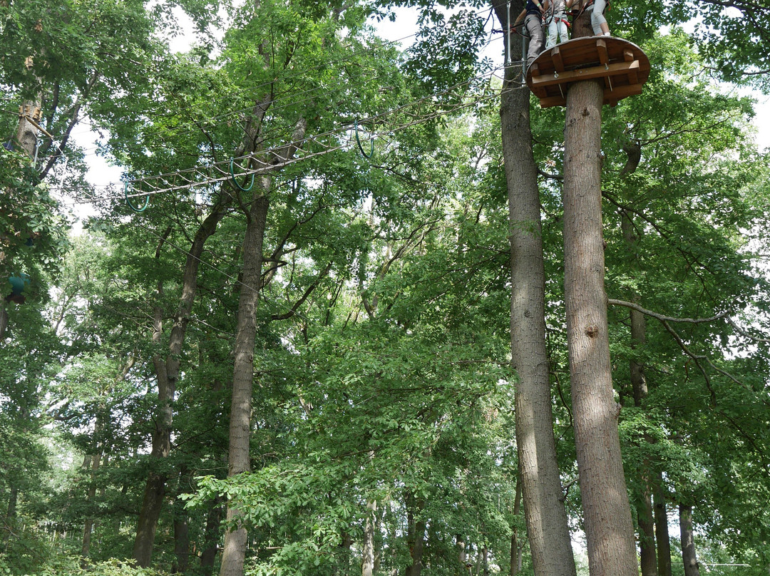 AccroCamp Forêt de Meudon景点图片