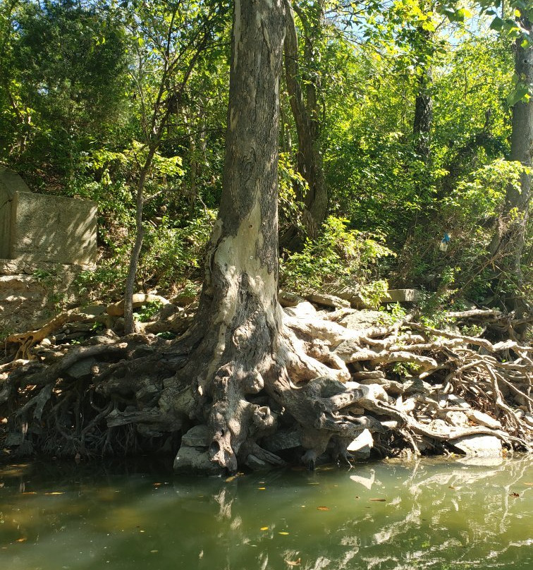 Whitewater Canoe Rental景点图片