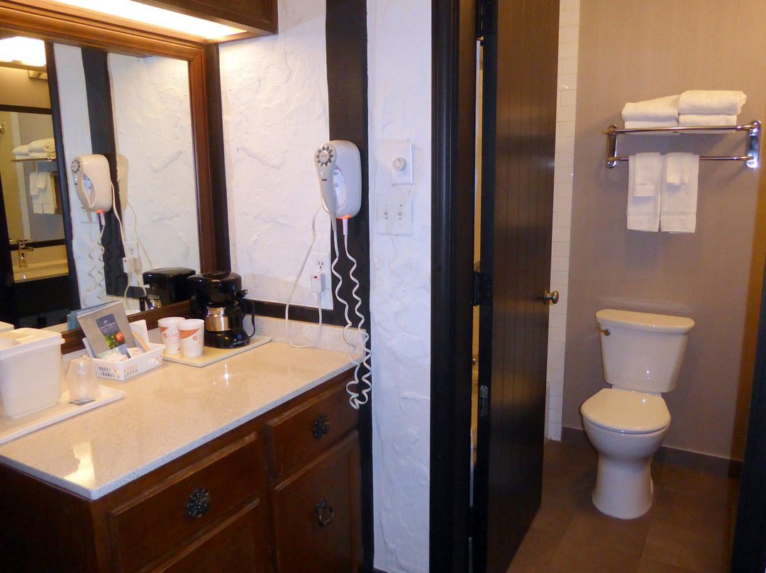 Quality Inn Waddling Dog主图
