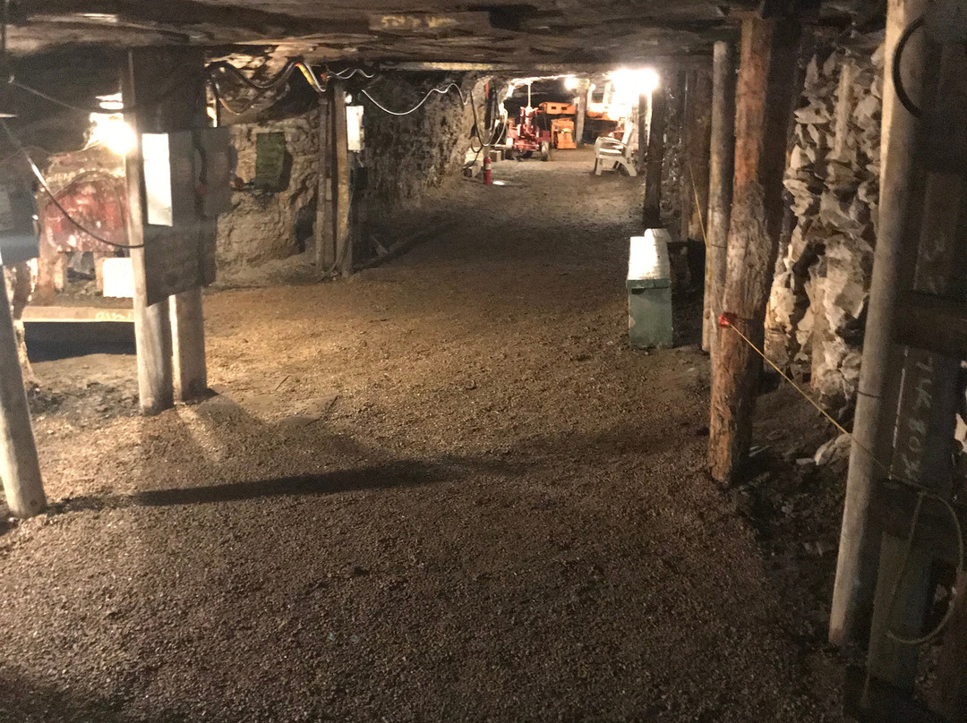 Tour-Ed Coal Mine景点图片