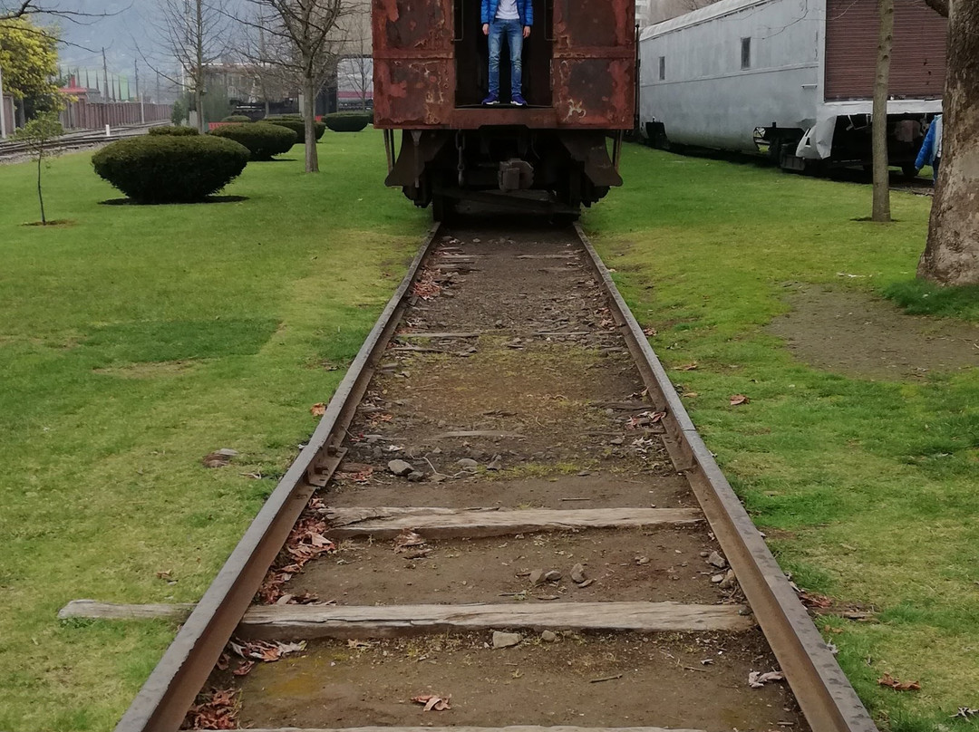 Museo Nacional Ferrioviario Pablo Neruda Temuco-特木科必去景点