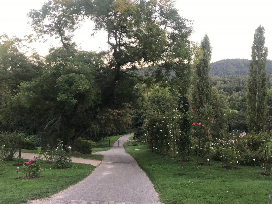 Garten der Rosenneuheiten景点图片